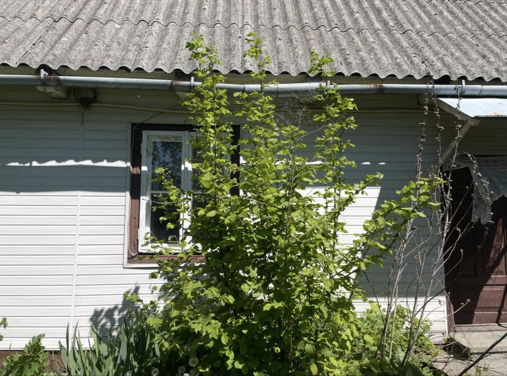 dom wolnostojący Jasień. Zdjęcie 5