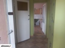 bliźniak, 5 pokoi Międzyrzecz, ul. Wita Stwosza. Zdjęcie 3