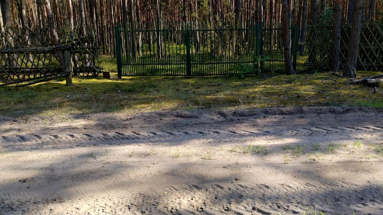 Działka leśna Ołdakowizna. Zdjęcie 4