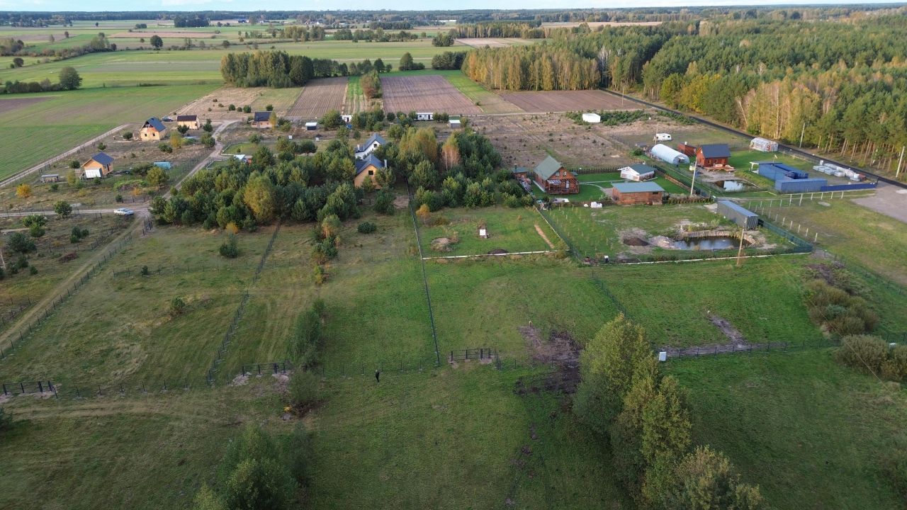 Działka rekreacyjna Napiórki Butne. Zdjęcie 13
