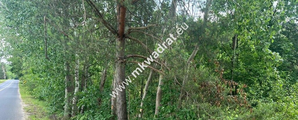 Działka budowlana Ojrzanów. Zdjęcie 2