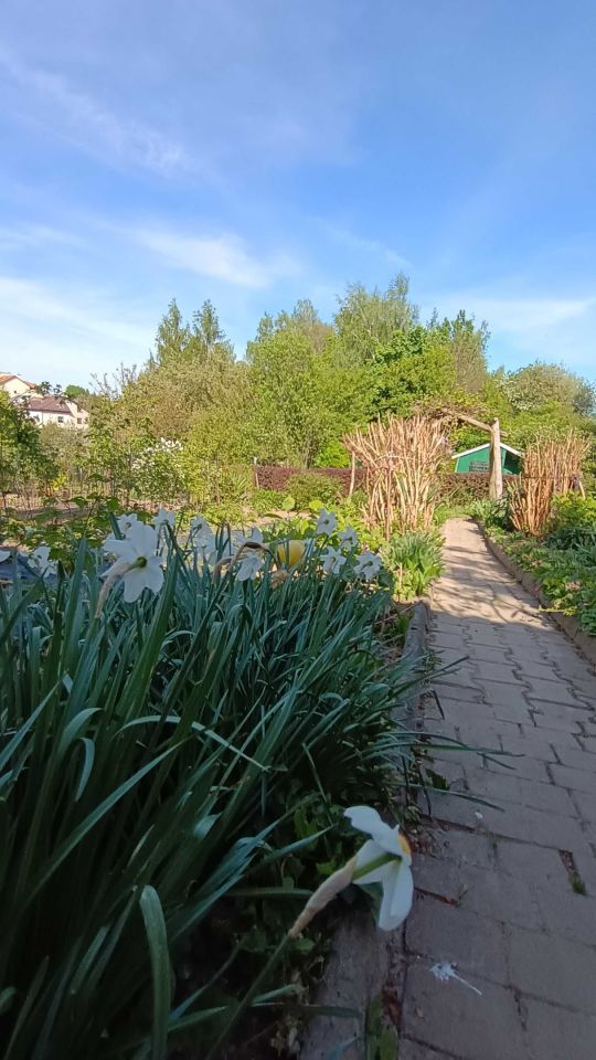 Działka rod Lublin Węglinek. Zdjęcie 2