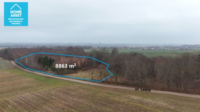 Działka budowlana Werblinia, ul. Leśna. Zdjęcie 1