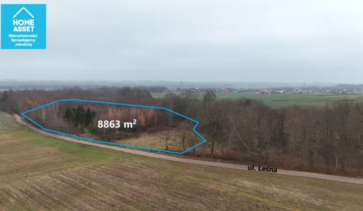 Działka budowlana Werblinia, ul. Leśna