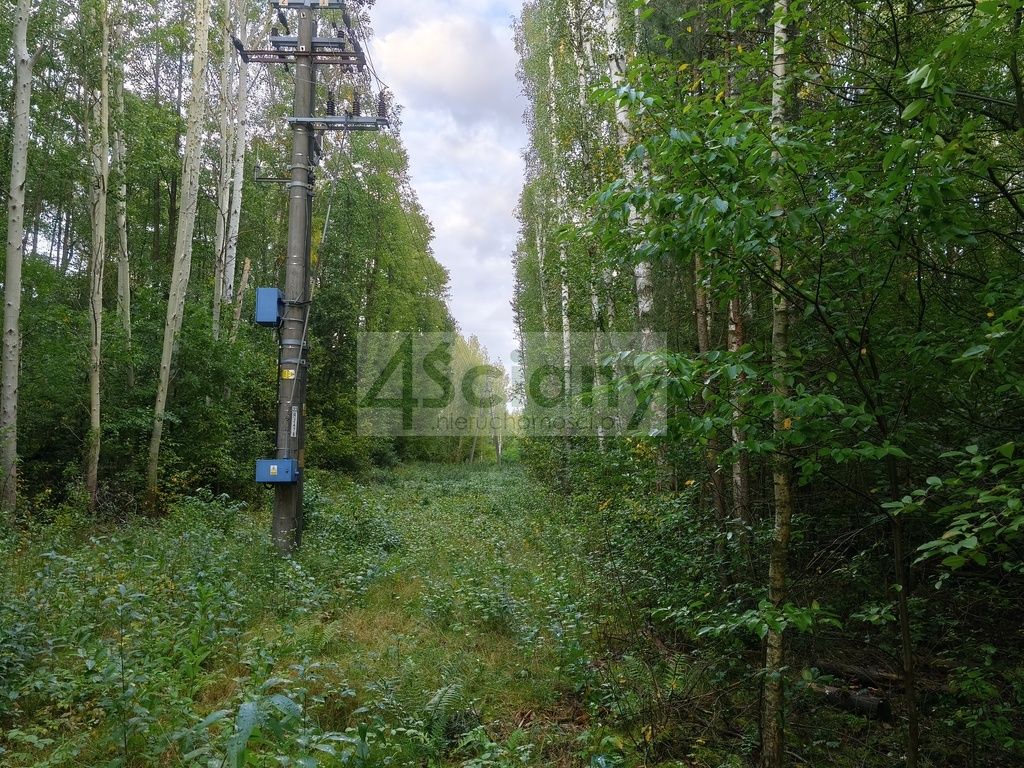 Działka budowlana Wycinki Osowskie. Zdjęcie 7