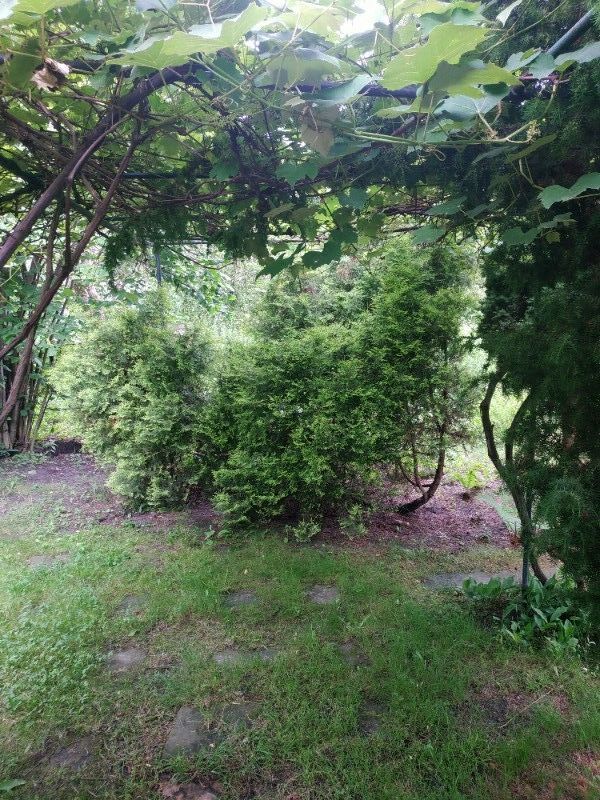 Działka rod Warszawa Mokotów, ul. Wawelska. Zdjęcie 7