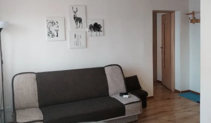 Mieszkanie 2-pokojowe Ustrzyki Dolne, ul. Nowa