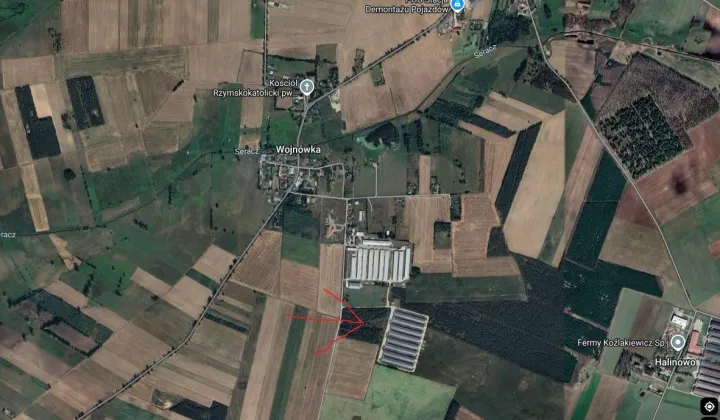 Działka leśna Wojnówka