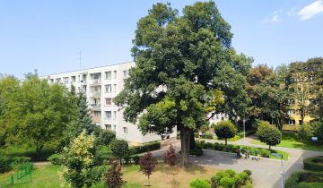 Mieszkanie 3-pokojowe Warszawa Saska Kępa, ul. Arabska