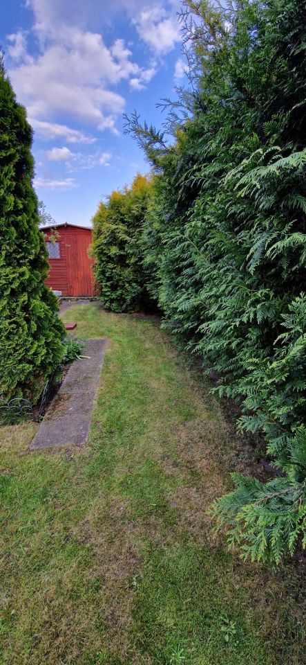 Działka rod Konin, ul. Świętojańska. Zdjęcie 7