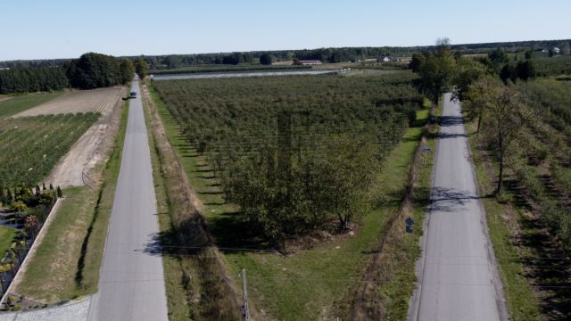 Działka rolna Boglewice. Zdjęcie 3