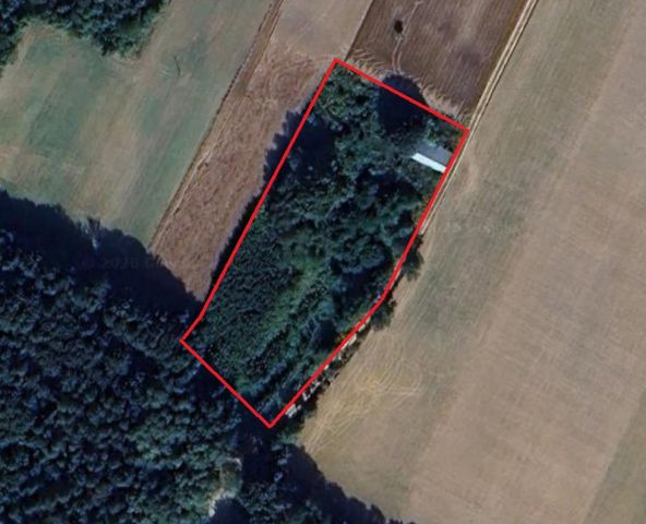 Działka rolno-budowlana Ulina Wielka. Zdjęcie 1