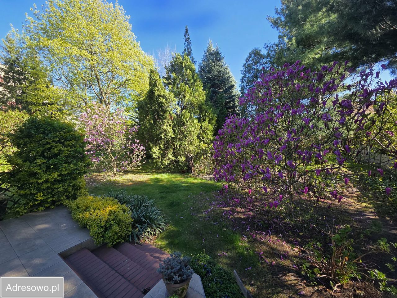 dom wolnostojący, 9 pokoi Ostrów Wielkopolski Centrum, ul. Tuwima. Zdjęcie 4