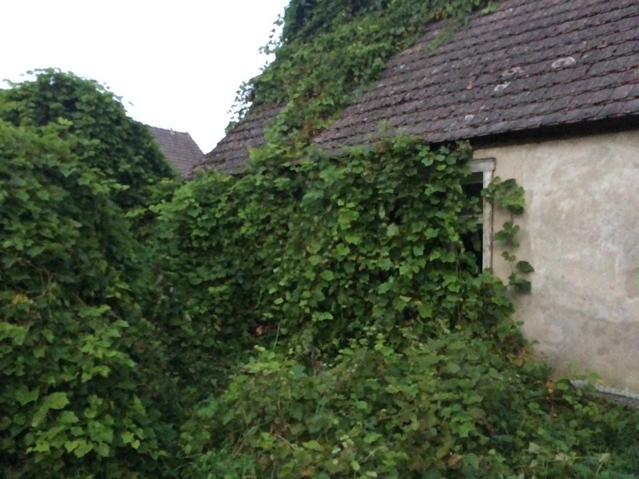 Działka rolno-budowlana Bagniewo. Zdjęcie 3