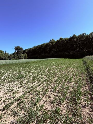 Działka rolno-budowlana Dosłońce. Zdjęcie 1