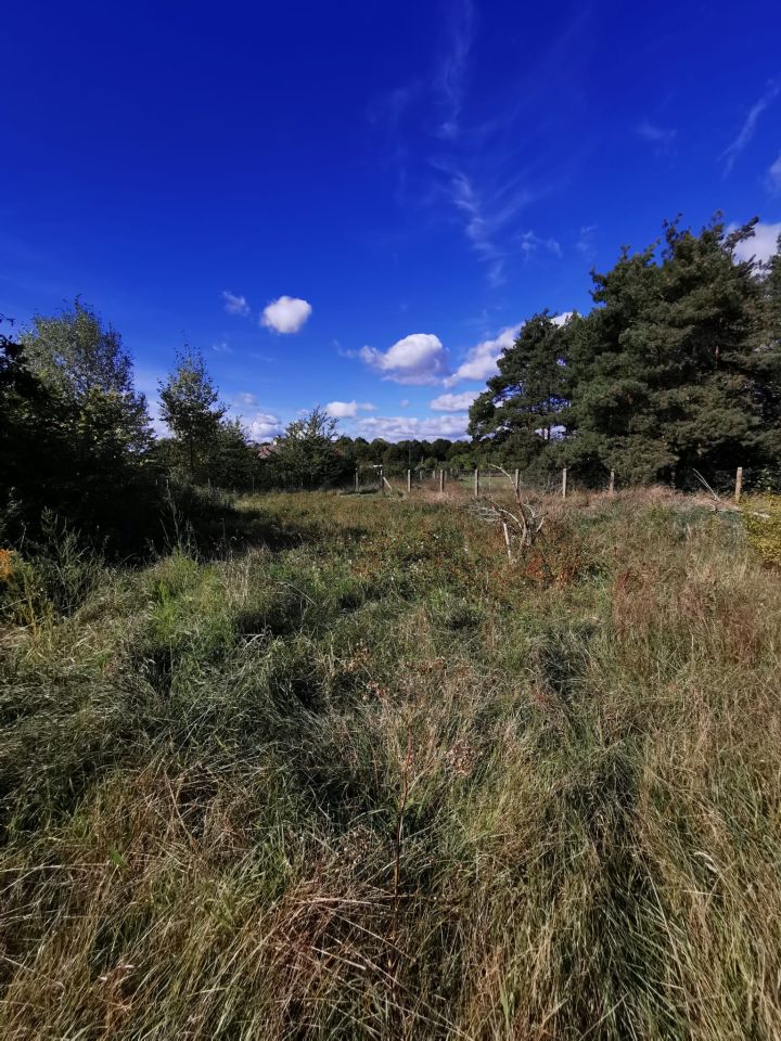 Działka budowlana Chociule. Zdjęcie 5