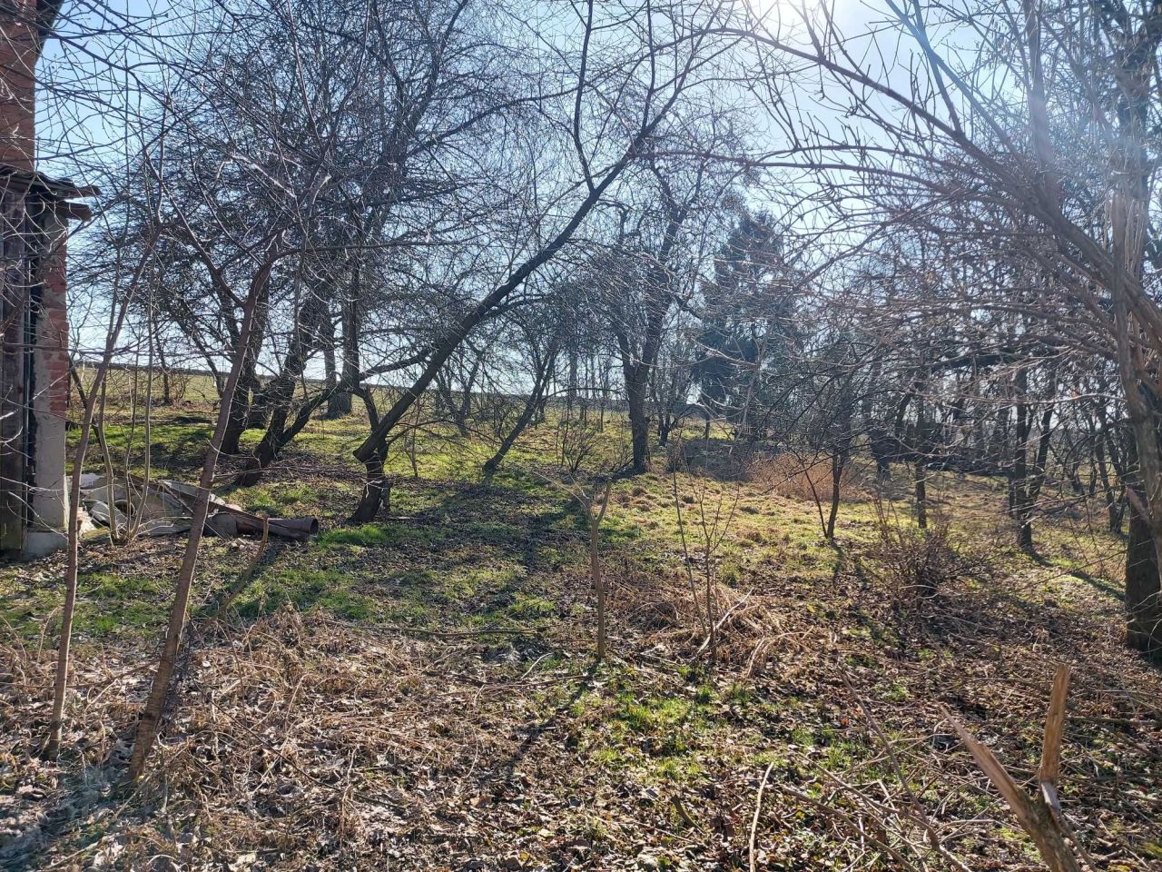 gospodarstwo Turków. Zdjęcie 5