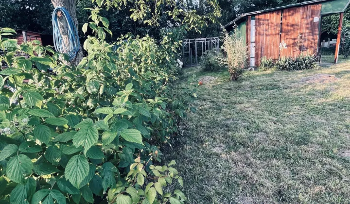 Działka rod Rzeszów Słocina, ul. Henryka Wieniawskiego