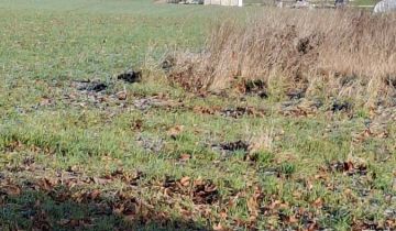 Działka budowlana Skrzatusz