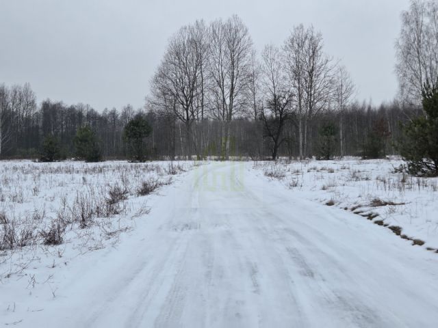 Działka rolna Stare Budy Radziejowskie. Zdjęcie 3