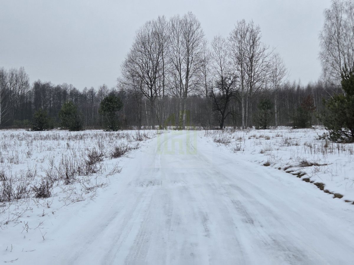 Działka rolna Stare Budy Radziejowskie. Zdjęcie 3