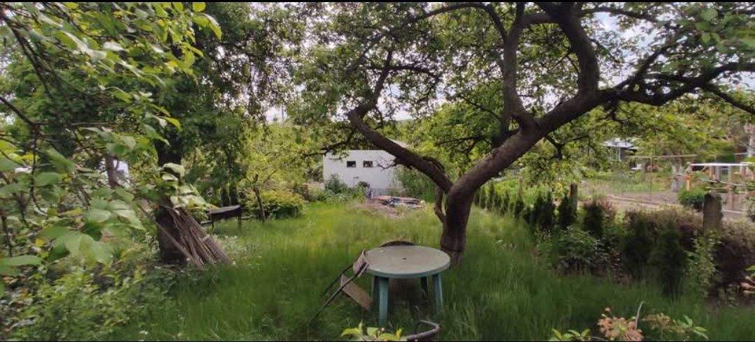 Działka rod Szczecin, ul. Hoża. Zdjęcie 5