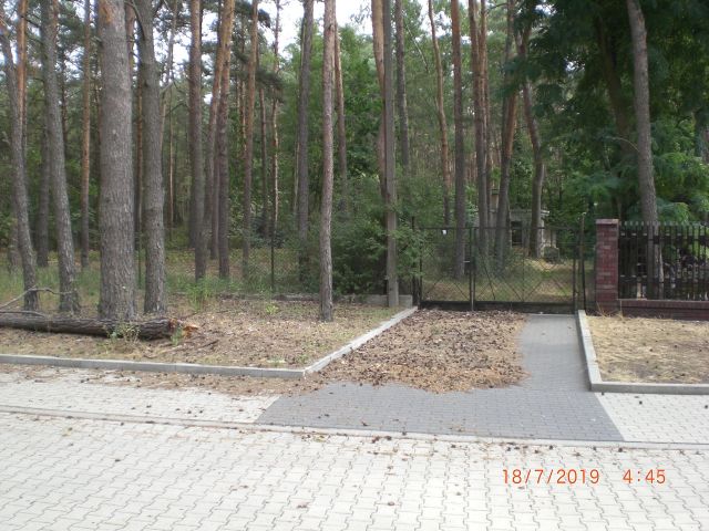 Działka leśna Puszczykowo Puszczykówko. Zdjęcie 1