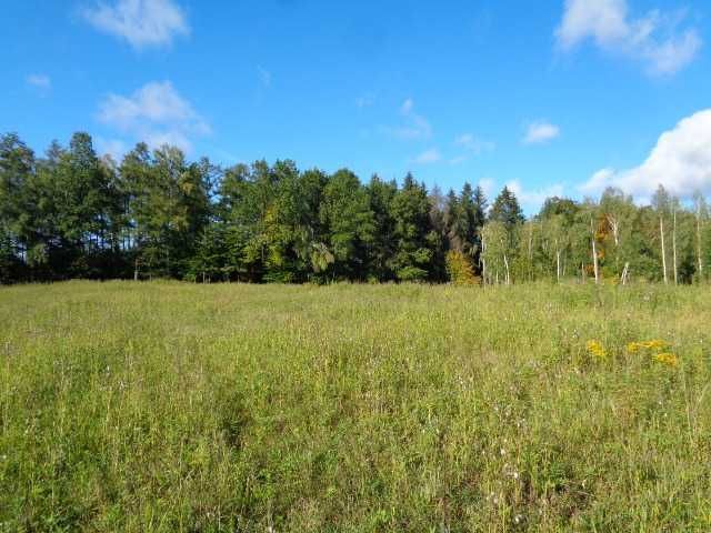 Działka siedliskowa Ogrodniki. Zdjęcie 3