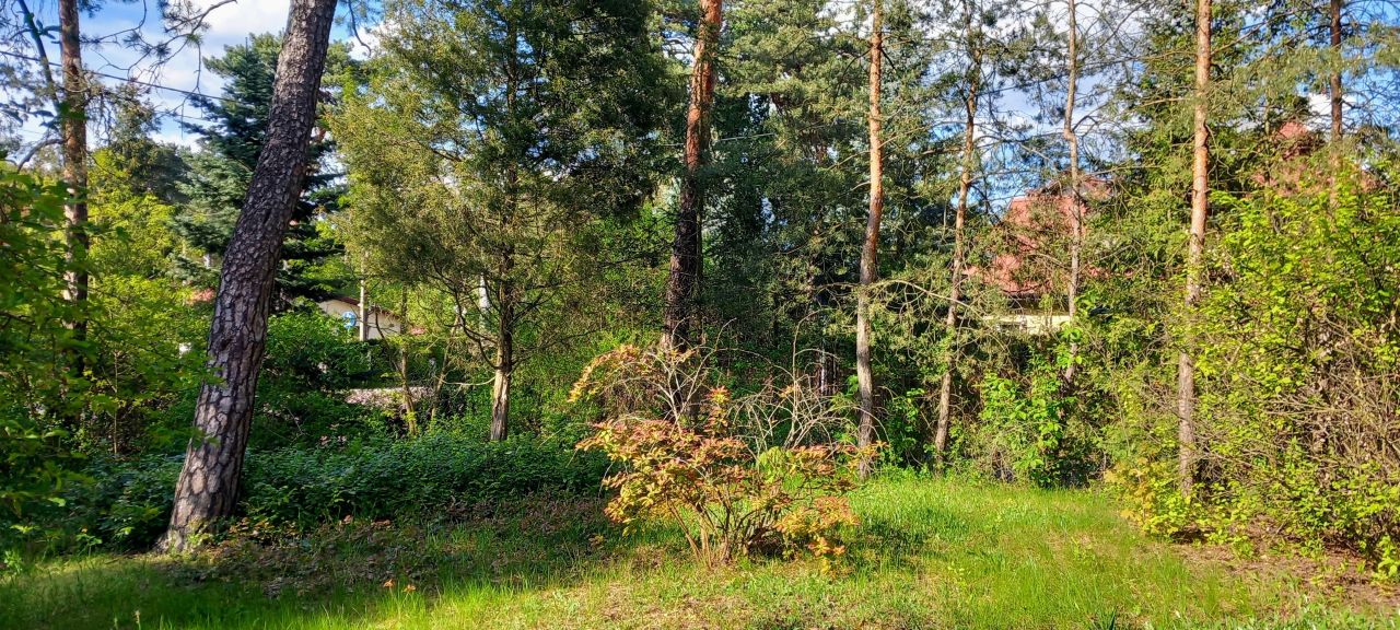 dom wolnostojący, 5 pokoi Otwock Świder, ul. Pogodna. Zdjęcie 35