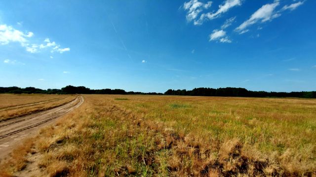 Działka budowlana Strzeszów. Zdjęcie 1