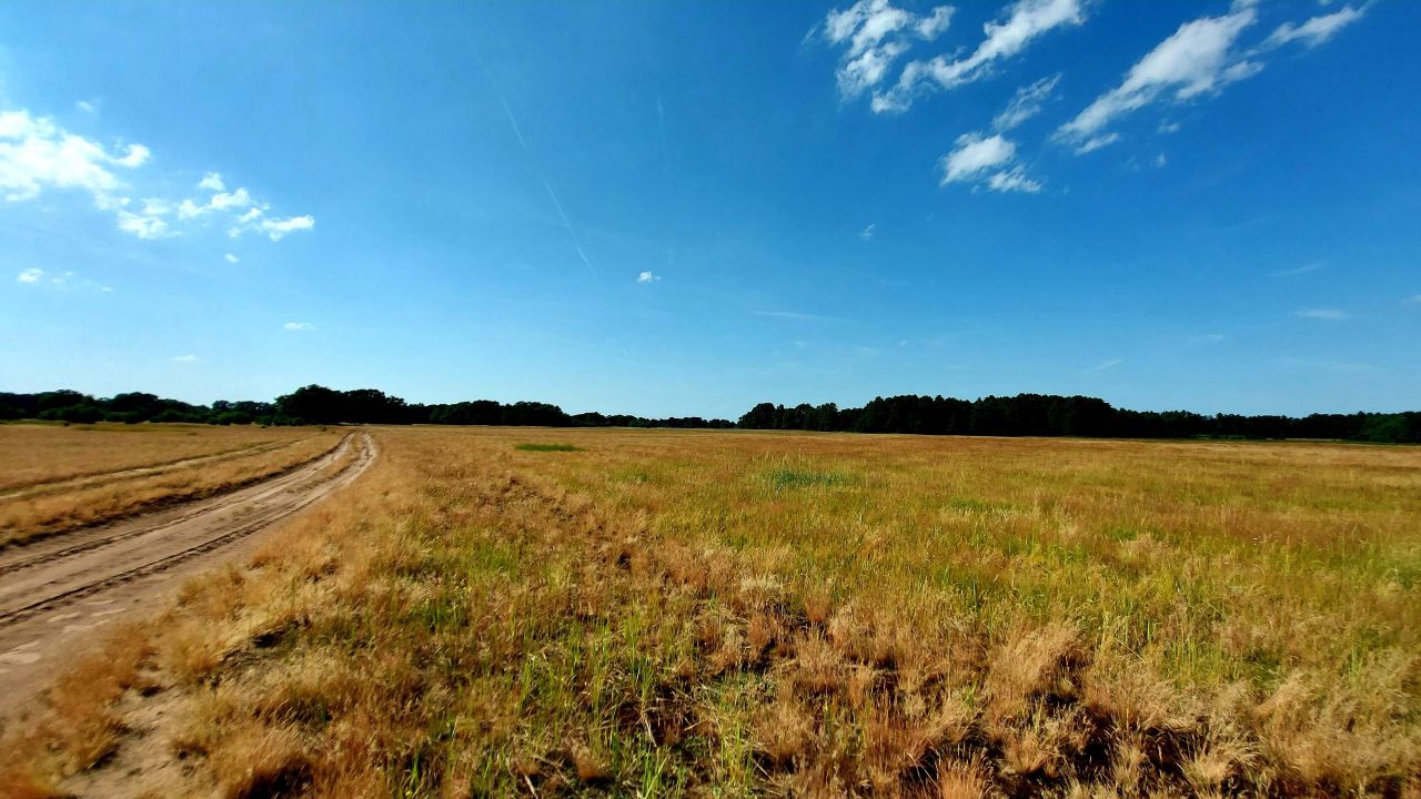 Działka budowlana Strzeszów