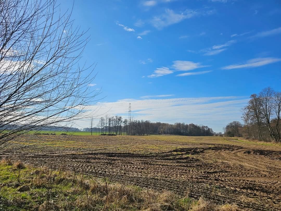 Działka budowlana Gronówko. Zdjęcie 5