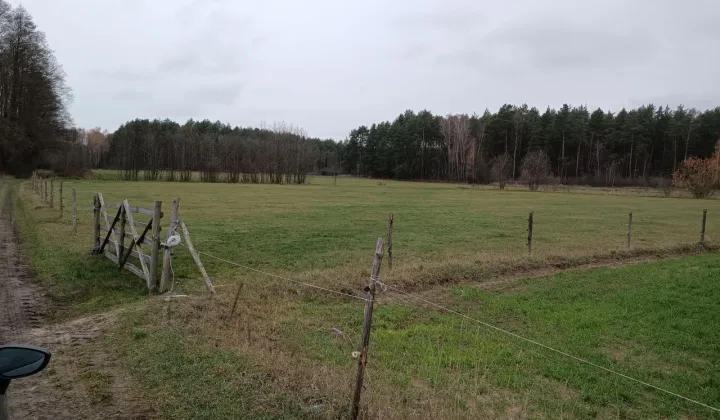 Działka rolna Filochy