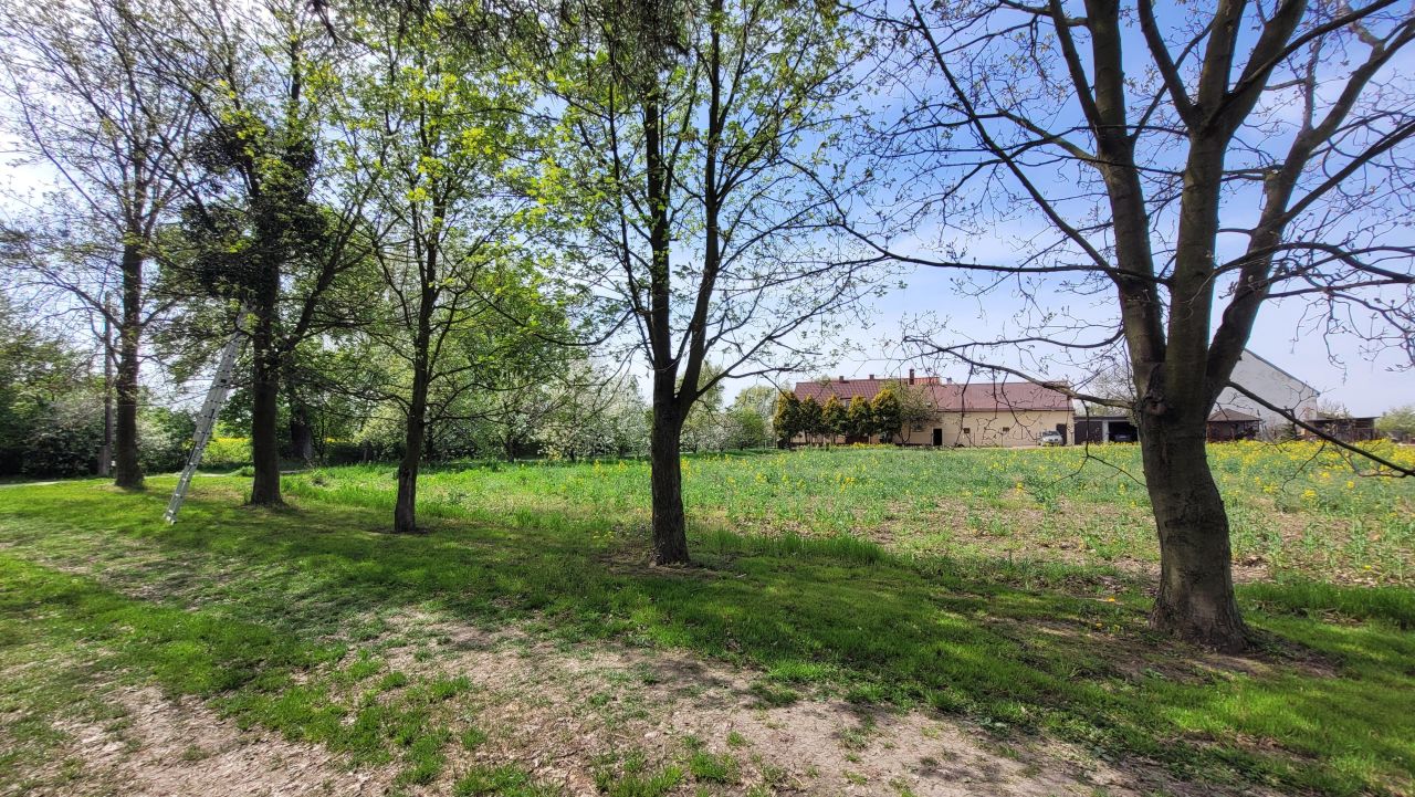 Działka rolno-budowlana Michałów. Zdjęcie 5