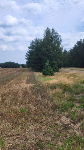 Działka rolna Szulborze Wielkie. Zdjęcie 1