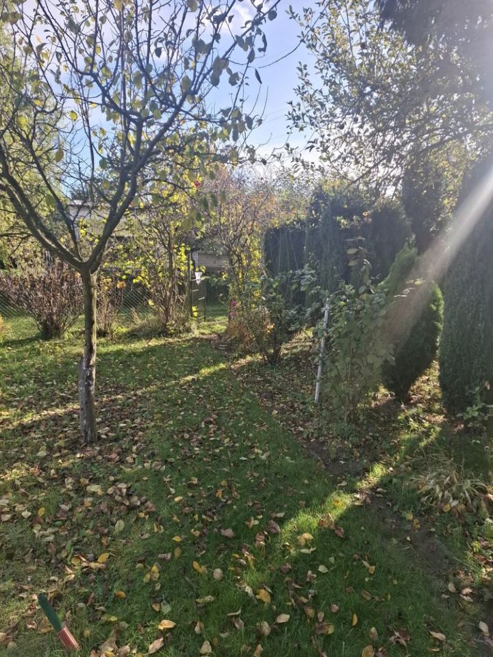 Działka rod Szczecin Bukowo. Zdjęcie 4