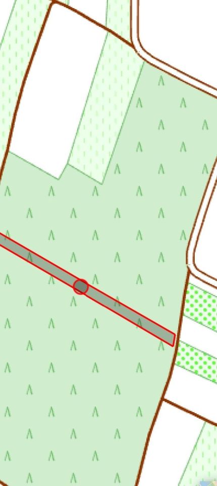 Działka leśna Ratoszyn Drugi. Zdjęcie 2