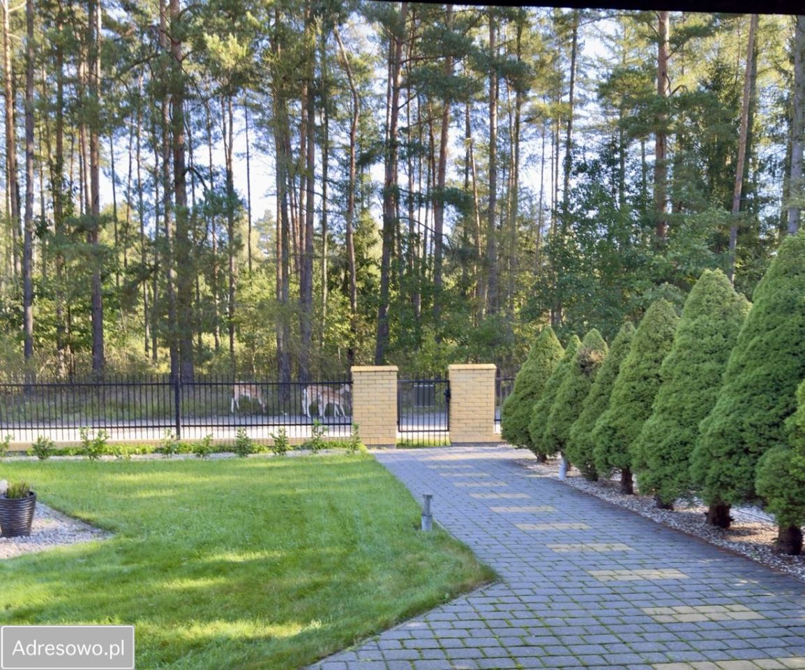 dom wolnostojący, 5 pokoi Międzylesie. Zdjęcie 8