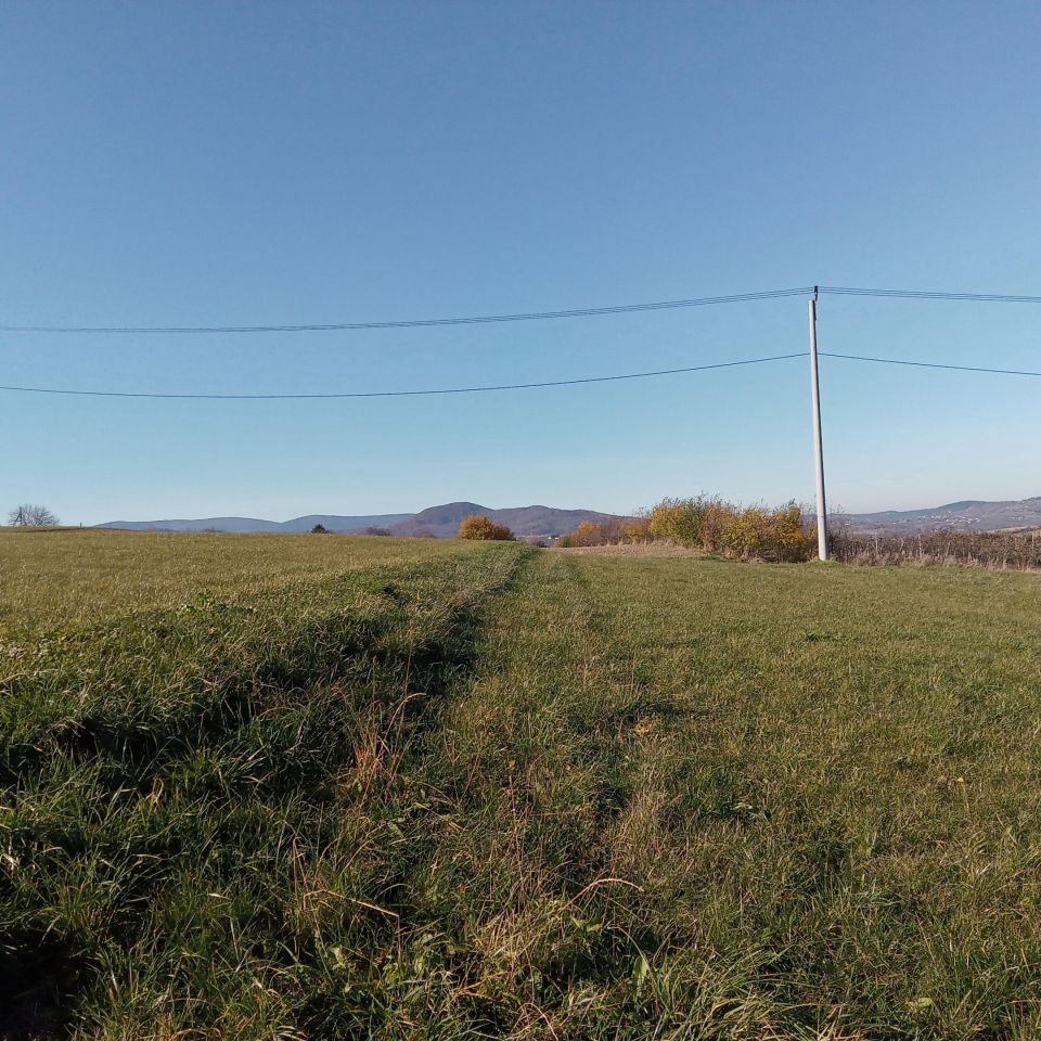 Działka rolna Żerosławice, działka 198. Zdjęcie 6