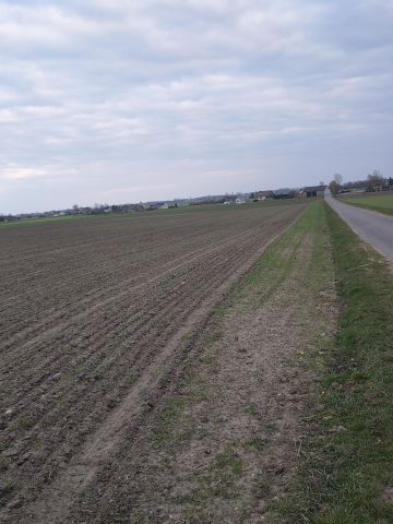 Działka rolno-budowlana Nowy Sławoszew. Zdjęcie 3