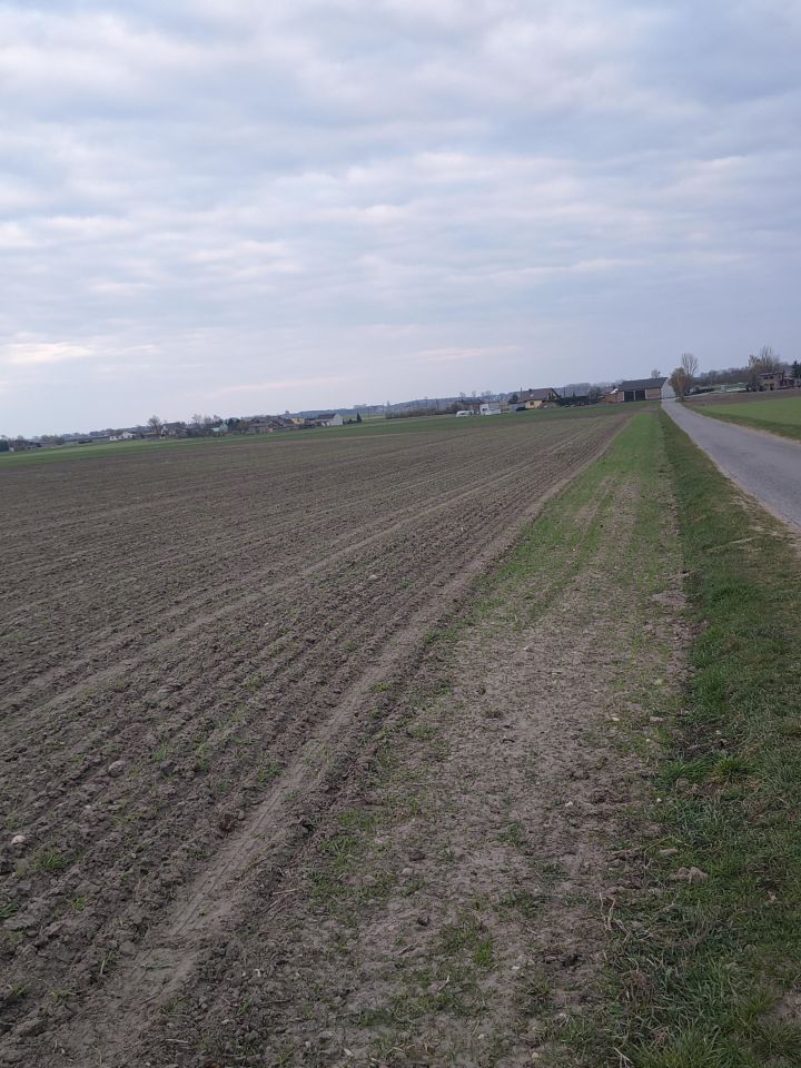 Działka na sprzedaż bez pośredników          
          
            Nowy Sławoszew          
          
            Nowy Sławoszew 29 - Widok 4