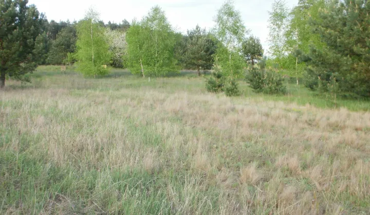 Działka rolno-budowlana Godzimierz