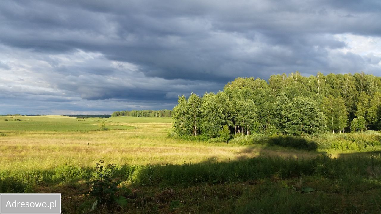 siedlisko, 5 pokoi Pajtuny. Zdjęcie 5