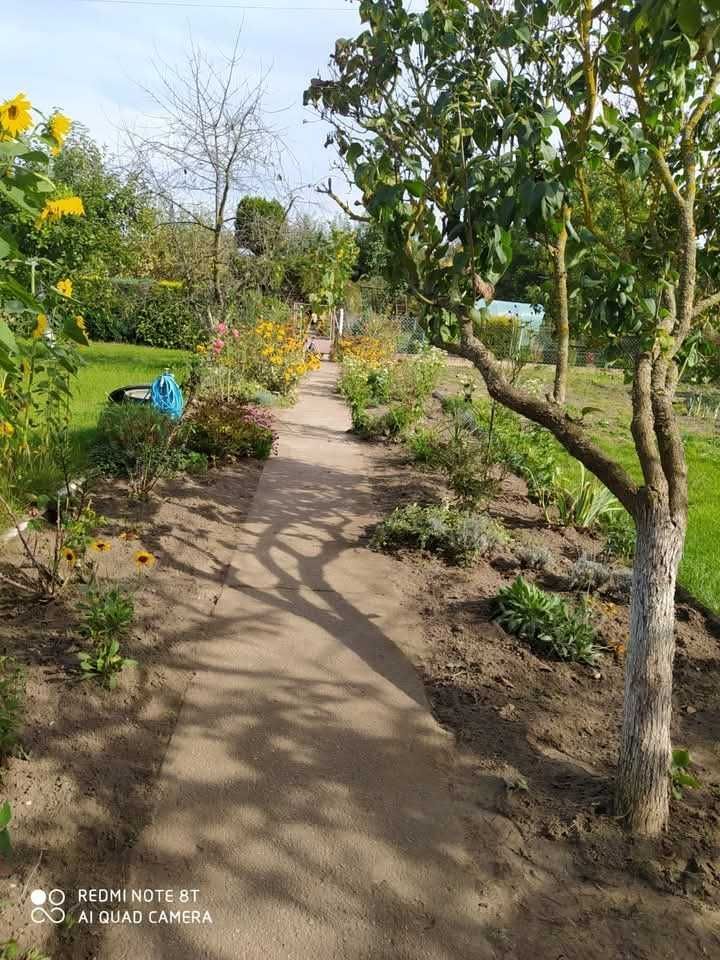 Działka rod Nowogard. Zdjęcie 7