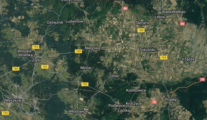 Działka leśna Ogorzelnik