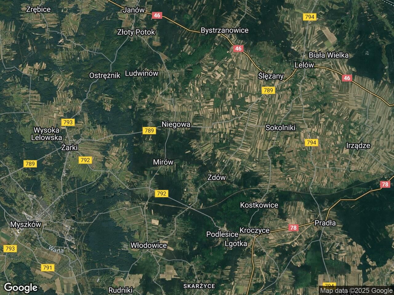 Działka leśna Ogorzelnik