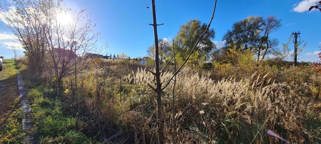 Działka rolno-budowlana Zamłynie. Zdjęcie 2