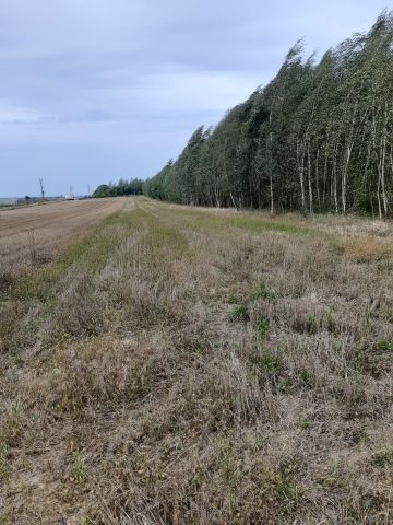 Działka rolna Zbucz. Zdjęcie 1