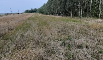 Działka rolna Zbucz