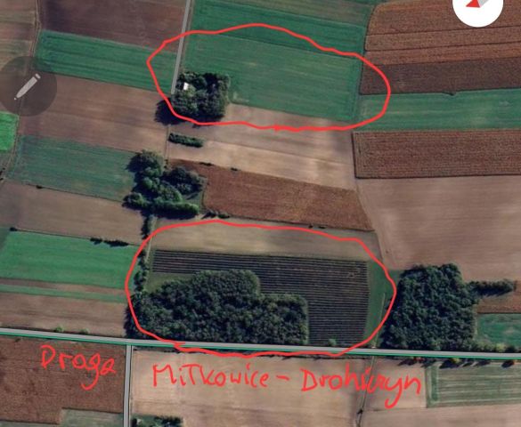 Działka rolna Miłkowice-Maćki. Zdjęcie 1